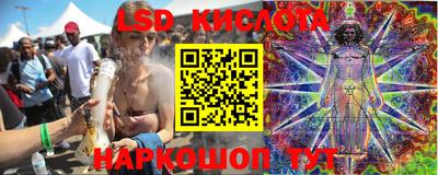 стафф Донецк
