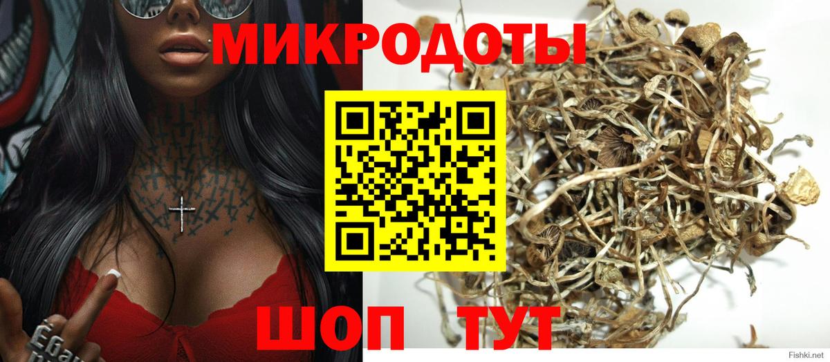 Псилоцибиновые грибы мухоморы  Вход с VPN  Лесозаводск 
